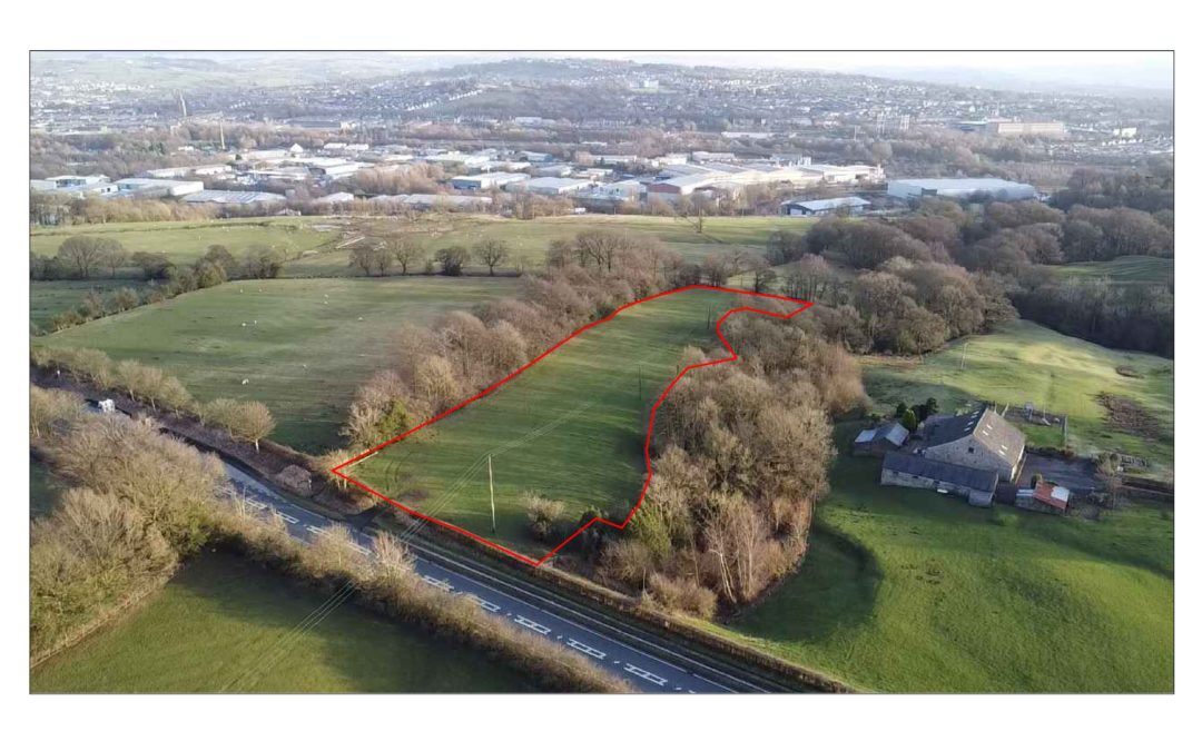 Land for Sale and Rent David Hill Estate Agents