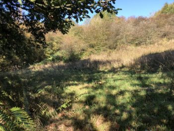 Land for Sale – 2.756 Hectares (6.81 Acres), Fallow Lane, Laycock, BD22 0PZ